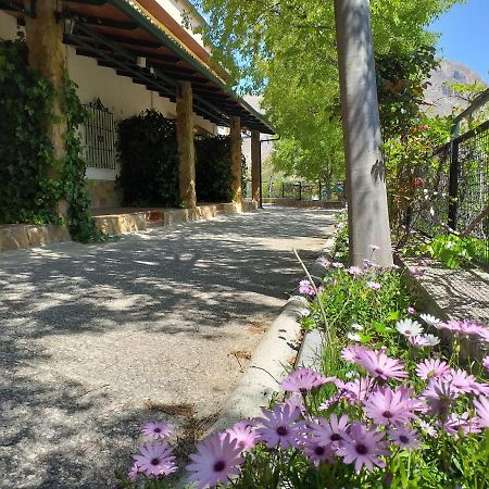 Cortijo El Cercadillo Casa de hóspedes Bedmar y Garciez Exterior foto
